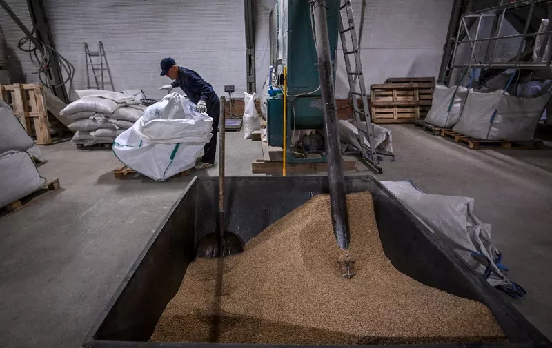 A worker straightens a large bag in a grain processing shop of Chyorny Khleb ("Black Bread") enterprise in the village of Khatmanovo in the Tula region some 150 kilometres outside Moscow on June 7, 2022. - Yevgeny Shifanov, co-owner of an organic farm, says his business has felt the sting of Western sanctions and he is no longer able to sell his grain to Europe. (Photo by Yuri KADOBNOV / AFP)