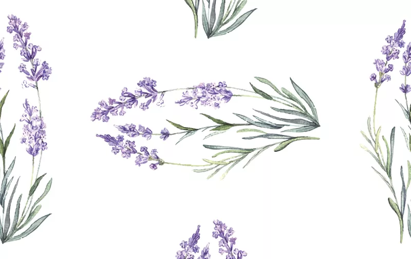Watercolor floral lavender pattern