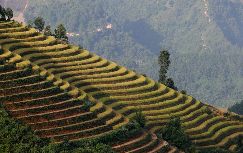 This picture taken on October 23, 2012 shows rice terraces in the late afternoon light in the mountainous district of Mu Cang Chai, in the northwestern Vietnamese province of Yen Bai.  Vietnam's northern mountainous regions are populated with many ethnic hill tribe minorities and have become a popular tourist destination due to their lush and varied landscapes.   AFP PHOTO / HOANG DINH Nam (Photo by HOANG DINH NAM / AFP)