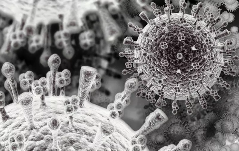 This detailed and accurate scanning electron microscope (SEM) image of the Avian Flu Virus (Bird Flu) from 3DScience.com helps in understanding the structural elements of this virus.  (PRNewsFoto/Zygote Media Group)