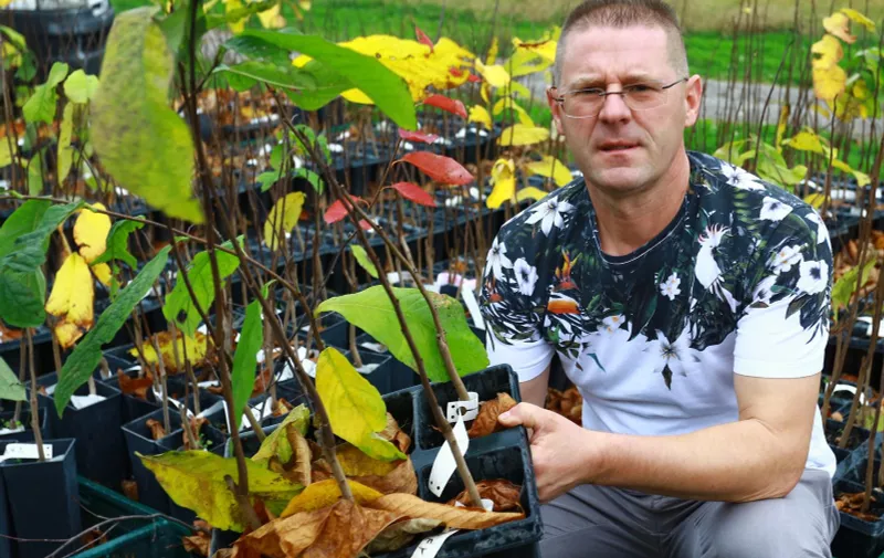 29.10.2018., Donja Stubica -   Ivan Sulog, poljoprivrednik koji se bavi uzgojem indijanskih banana.
Photo: Borna Filic/PIXSELL