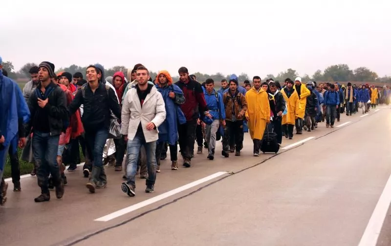 18.10.2015., Opatovac - Najveci broj izbjeglica dosao je u izbjeglicki kamp Opatovac tokom danasnjeg dana. 
Photo: Marko Mrkonjic/PIXSELL