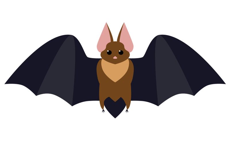 bat flat illustration isolated on white. halloween and mystic forest series