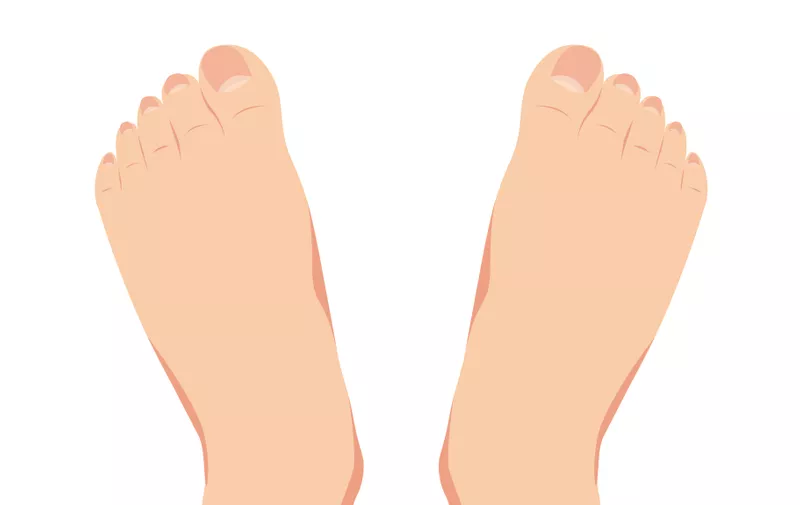 vector of female foot standing  human foot