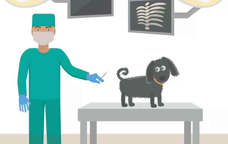 Veterinarian with a dog in a medical office. Vaccination for dogs. Vector illustration.