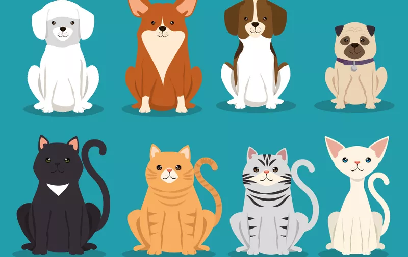 dogs cats and fish pets characters vector illustration design