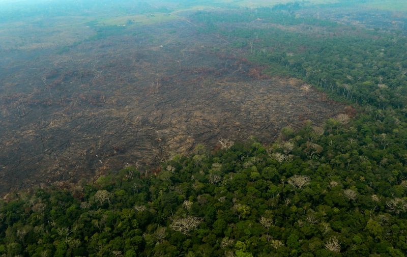 Aerial view of burnt areas of the Amazon rainforest, near Boca do Acre, Amazonas state, Brazil, in the Amazon basin, on August 24, 2019. - President Jair Bolsonaro authorized Friday the deployment of Brazil's armed forces to help combat fires raging in the Amazon rainforest, as a growing global outcry over the blazes sparks protests and threatens a huge trade deal. (Photo by Lula SAMPAIO / AFP)