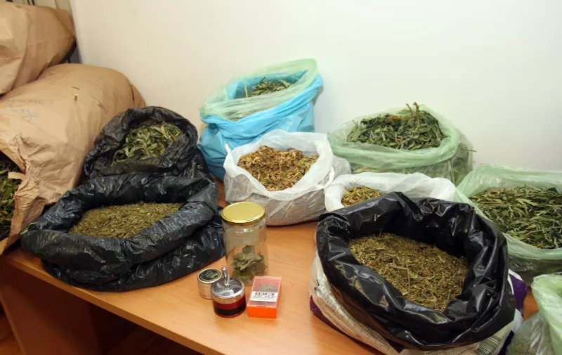 24.10.2014., Rijeka - Policijska uprava Primorsko-goranska. Zaplijenjena veca kolicina marihuane. rPhoto: Goran Kovacic/PIXSELL