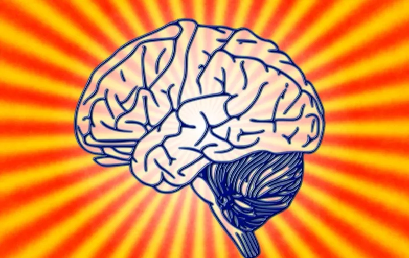 Science Psychology Biology Brain Brain Research
