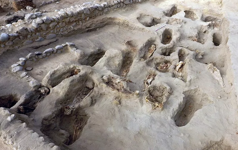 Handout picture released by Programa Arquelogico Huanchacho on August 27, 2019 showing remains of some 227 children, allegedly offered in a sacrifice ritual by the pre-Columbian culture Chimu, uncovered by archaeologists in the Pampa La Cruz sector in Huanchaco, a coastal municipality of Trujillo, 700 km north of Lima. - A group of archeologists have discovered the remains of 227 children on Peru's north coast that were ritually sacrificed during the pre-Columbian Chimu culture, the biggest ever discovery of child sacrifice in the world. (Photo by Programa Arqueologico Huanchaco / PROGRAMA ARQUEOLOGICO HUANCHACO / AFP) / RESTRICTED TO EDITORIAL USE - MANDATORY CREDIT "AFP PHOTO / PROGRAMA ARQUELOGICO HUANCHACO " - NO MARKETING NO ADVERTISING CAMPAIGNS - DISTRIBUTED AS A SERVICE TO CLIENTS