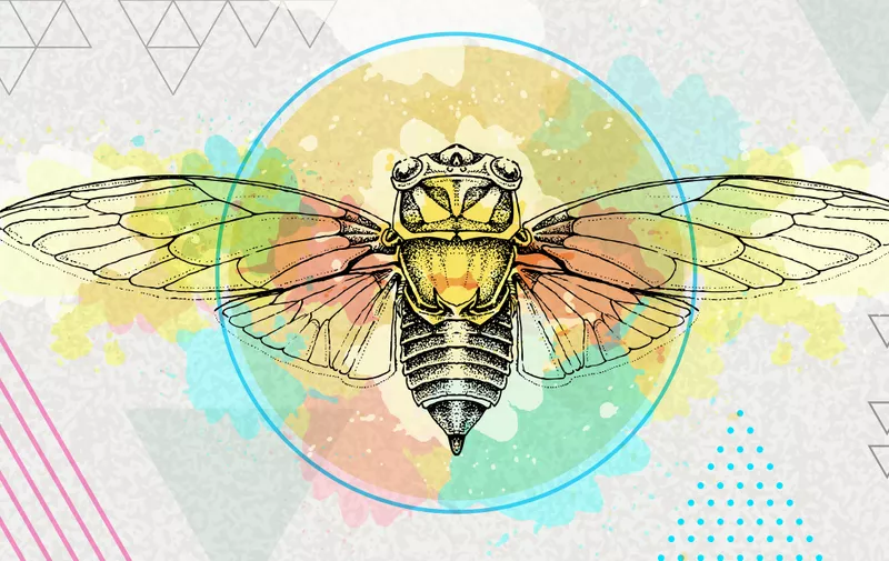 Realistic cicada illustration on artistic polygon watercolor background. Astrology zodiac sign