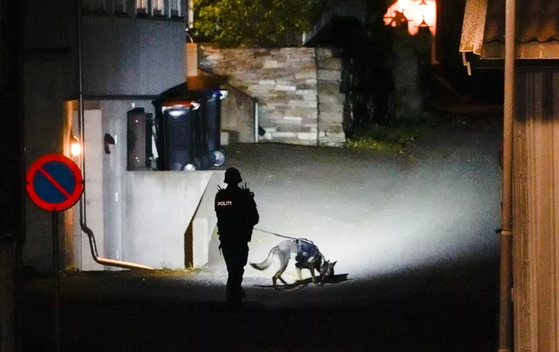 A Police officer uses a sniffer dog at the scene where they are investigating in Kongsberg, Norway after a man armed with bow killed several people before he was arrested by police on October 13, 2021. - A man armed with a bow and arrows killed several people and wounded others in the southeastern town of Kongsberg in Norway on October 13, 2021, police said, adding they had arrested the suspect.
"We can unfortunately confirm that there are several injured and also unfortunately several killed in this episode," local police official Oyvind Aas told a news conference. "The man who committed this act has been arrested by the police and, according to our information, there is only one person involved." (Photo by Håkon Mosvold Larsen / NTB / AFP) / Norway OUT / ALTERNATIVE CROP