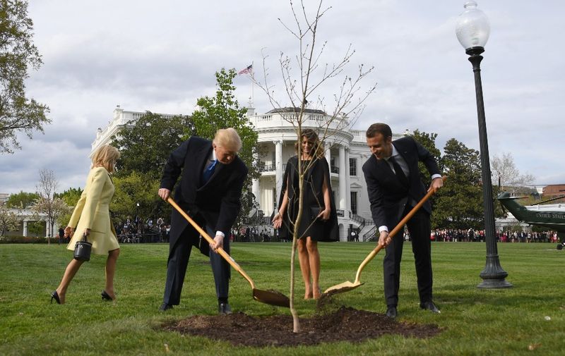 US President Donald Trump and First Lady Melania Trump participate in a tree planting ceremony with French President Emmanuel Macron and his wife Brigitte Macron on the South Lawn of the White House in Washington, DC, on April 23, 2018. - The tree comes from Belleau Woods, where, in June 1918, some 9,000 US Marines died in the Belleau Wood battle during World War I. (Photo by JIM WATSON / AFP)