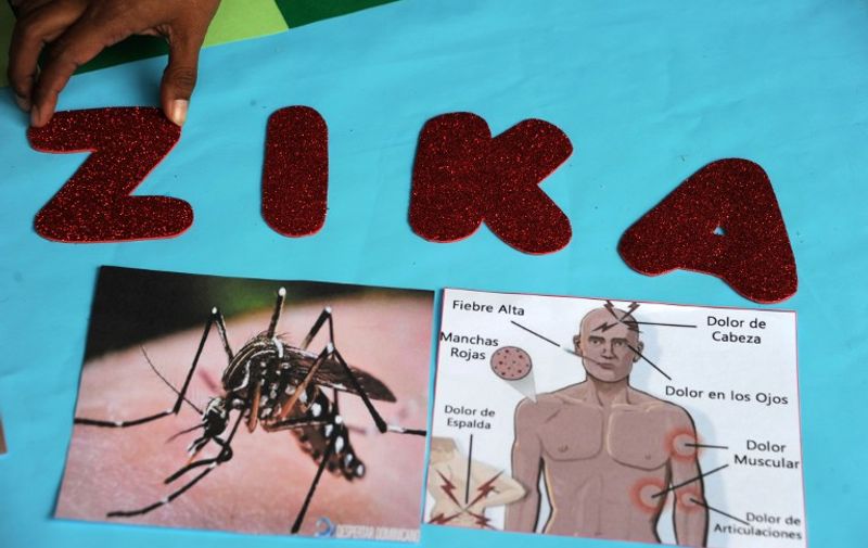 A pedagogy student of the National Autonomous University of Honduras (UNAH) makes a poster for a campaign to prevent Zika virus in Tegucigalpa on February 12, 2016. AFP PHOTO / ORLANDO SIERRA / AFP / ORLANDO SIERRA