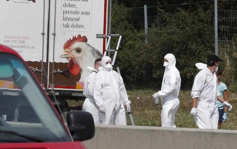 Forensic officers work at a truck inside which were found a large number of dead migrants on a motorway near Neusiedl am See, Austria, on August 27, 2015. The vehicle, which contained between 20 and 50 bodies, was found on a parking strip off the highway in Burgenland state, police spokesman Hans Peter Doskozil said at a  press conference with Interior Minister Johanna Mikl-Leitner. AFP PHOTO / DIETER NAGL