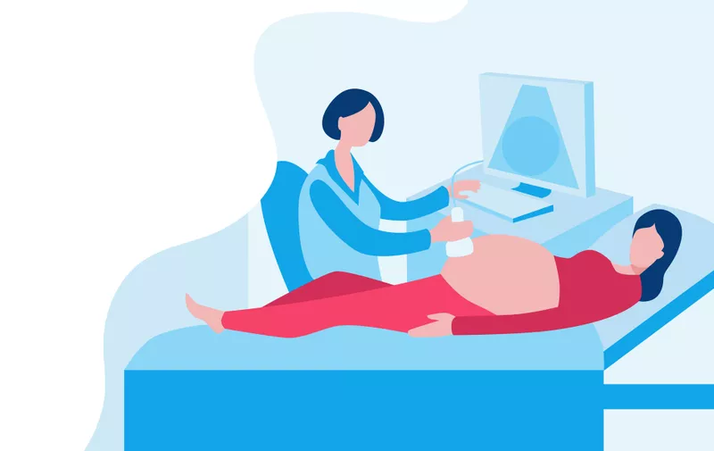 Pregnant woman at the doctor. The doctor makes an ultrasound of a pregnant woman. Vector illustration in flat style.