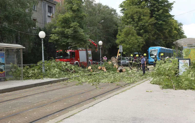 02.08.2022., Zagreb - Vatrogasci i policija rjesavaju problem pada stabla u centru Zagreba.  Photo: Lovro Domitrovic/PIXSELL