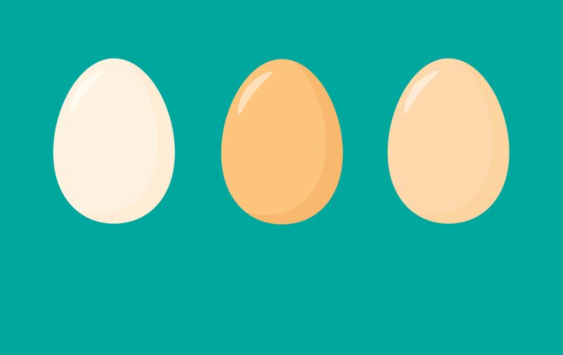 Eggs flat icon, chicken egg breakfast, vector illustration