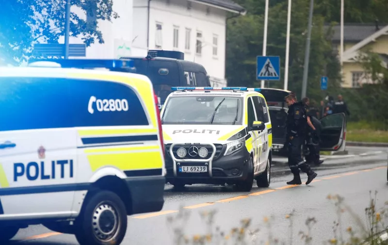 A picture taken on August 10, 2019 shows police vehicles near the al-Noor islamic center mosque where a gunman, armed with multiple weapons, went on a shooting spree in the town of Baerum, an Oslo suburb. - The gunman injured one worshipper before being arrested, police and witnesses said. (Photo by Terje Pedersen / NTB Scanpix / AFP) / Norway OUT