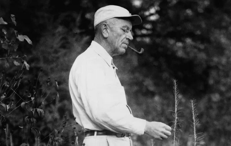 Aldo Leopold, (1886-1948), American ecologist, forester, and environmentalist examining tamarack tree. Leopold was a founder of The Wilderness Society in 1935. 1947 portrait.,Image: 101845144, License: Rights-managed, Restrictions: For usage credit please use; Courtesy Everett Collection, Model Release: no