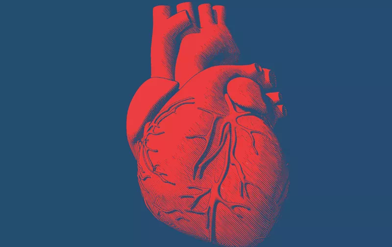 Engraving drawing human heart in red color on blue background