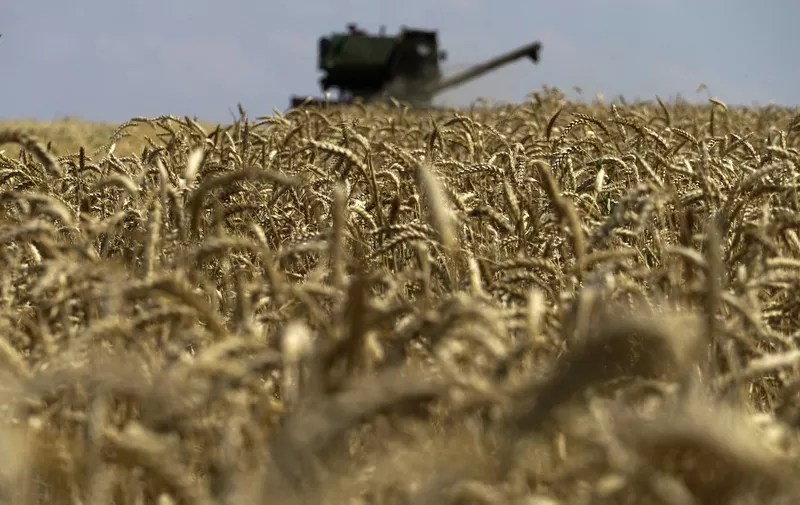 This photograph taken on July 31, 2022 shows a grain combine harvester collecting wheat near Novoazovsk outside Mariupol, amid the ongoing Russian military action in Ukraine. (Photo by AFP)