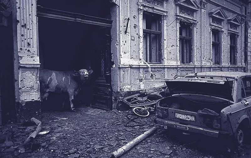 Ethnic Cleansing - A cow wanders in the destroyed streets of the Croatian city of Vukovar, Nov. 19, 1991. The city was completely destroyed after three months of bombing by Serbian forces., Image: 116177615, License: Rights-managed, Restrictions: This content not available to be downloaded through Quick Pic
Content available for editorial use, pre-approval required for all other uses.
Not available for license and invoicing to customers located in Italy.
Not available for license and invoicing to customers located in the Czech Republic.
Not available for license and invoicing to customers located in the Netherlands.
Not available for license and invoicing to customers located in India.
Not available for license and invoicing to customers located in Finland., Model Release: no, Credit line: Profimedia, Corbis VII