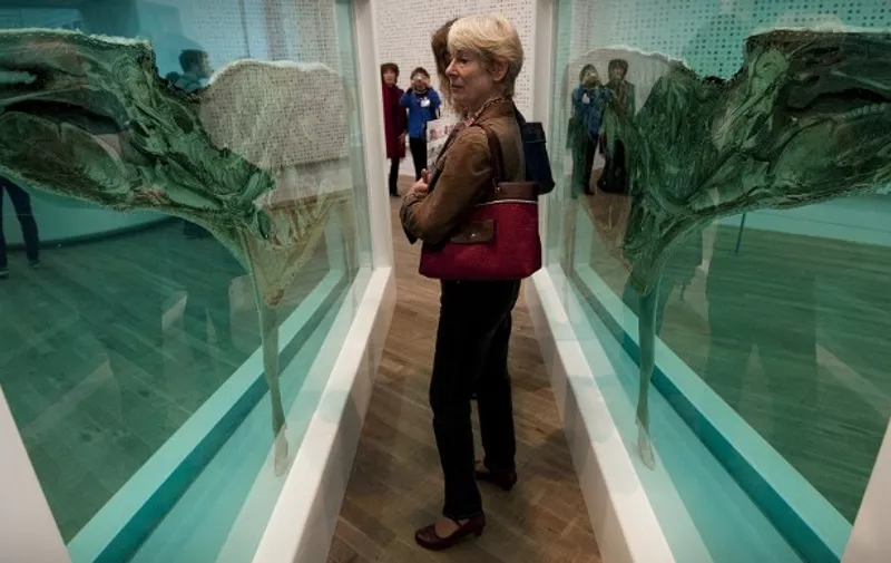 A woman looks at a creation by British artist Damien Hirst entitled "Mother and Child Divided 2007"  during the opening of his solo exhibition showcasing work spanning over two decades at the Tate Modern in central London on April 2, 2012. AFP PHOTO / BEN STANSALL / AFP PHOTO / BEN STANSALL