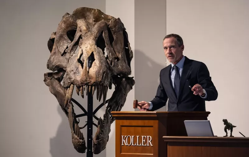 Koller auction house director Cyril Koller gestures with an auctionners gavel next to the skull of 'Trinity' during the sale of the Tyrannosaurus-Rex (T-Rex) skeleton by Koller auction house in Zurich, on April 18, 2023. - The T-Rex's skeleton, dating back 67 million years and made up of bones from three dinosaurs excavated between 2008 and 2013 from the Hell Creek and Lance Creek formations in Montana and Wyoming, is expected to fetch six to eight million Swiss francs ($6.5-8.7 million). (Photo by Fabrice COFFRINI / AFP)