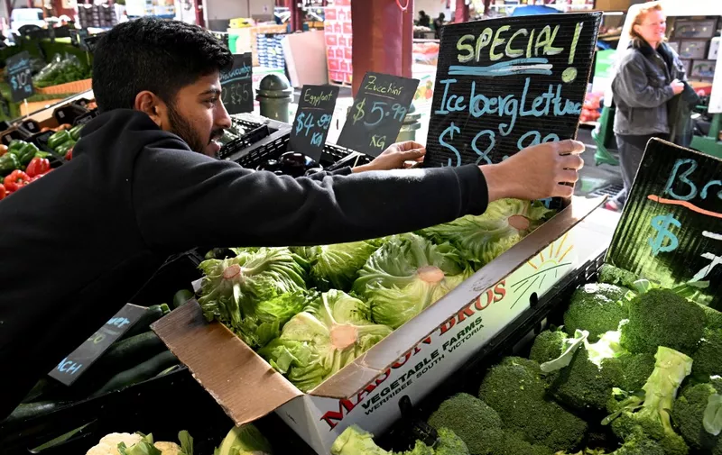 Syed Hyder from a stall at Melbourne's Queen Victoria Market adjusts a display of iceberg lettuce on June 7, 2022, with the local price soaring by as much as 300 percent in recent months. - Fried chicken chain KFC said on June 7 that high lettuce prices in Australia have forced it to switch to a cabbage mix in burgers and other products, prompting customers to complain the result is less than "finger lickin' good". (Photo by William WEST / AFP)