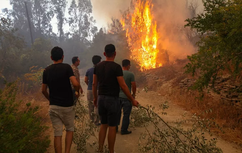 People try to help during a massive wildfire which engulfed a Mediterranean resort region on Turkey's southern coast near the town of Manavgat, on July 29, 2021. - At least three people were reported dead on July 29, 2021 and more than 100 injured as firefighters battled blazes engulfing a Mediterranean resort region on Turkey's southern coast. Officials also launched an investigation into suspicions that the fires that broke out Wednesday in four locations to the east of the tourist hotspot Antalya were the result of arson. (Photo by Ilyas AKENGIN / AFP)