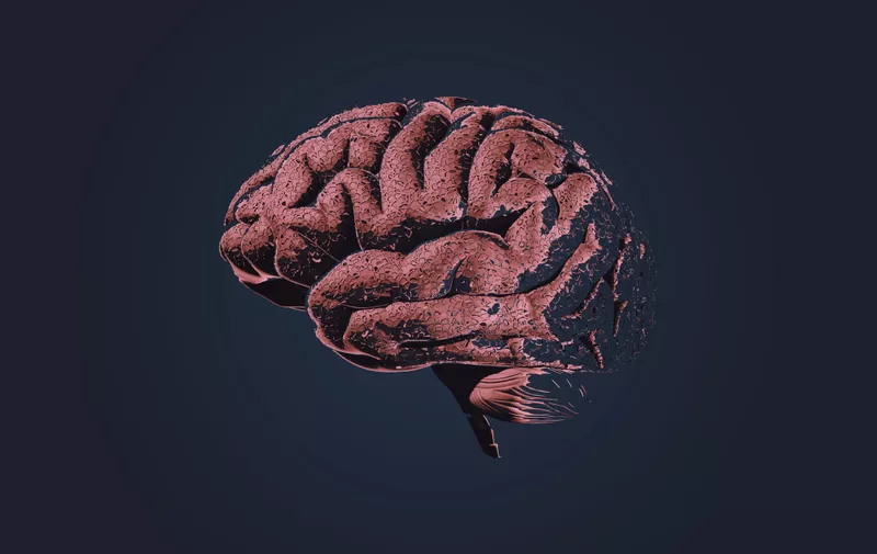 Brain neuro cell growth or damaging drawing with texture shading illustration isolated on dark background