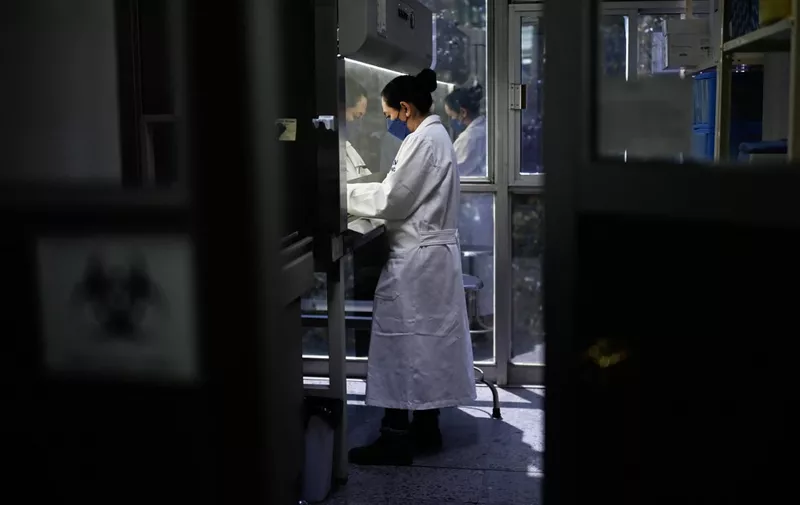 Veterinary researcher Ana Laura Vigueras works at the "El Dorado" zoonosis prevention studies laboratory at the Veterinary Faculty of the Autonomous University of Mexico (UNAM) in Mexico City on March 27, 2023. As night fell in Mexico's Yucatan jungle, veterinarian Omar Garcia extracted blood and fluids from a bat as part of an investigation aimed at preventing the next potential pandemic. The goal of the Franco-Mexican project is to detect diseases -- known as zoonoses --  transmitted from animals to humans in tropical climates. (Photo by Pedro PARDO / AFP)