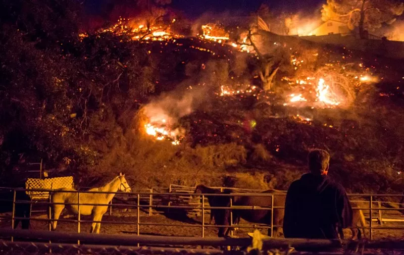 A man watches as the Creek Fire burns behind a hillside near houses in the Shadow Hills neighborhood of Los Angeles, California, on December 5, 2017.
More than a thousand firefighters were struggling to contain a wind-whipped brush fire in southern California on December 5 that has left at least one person dead, sent thousands fleeing, and was choking the area with thick black smoke. / AFP PHOTO / Kyle Grillot