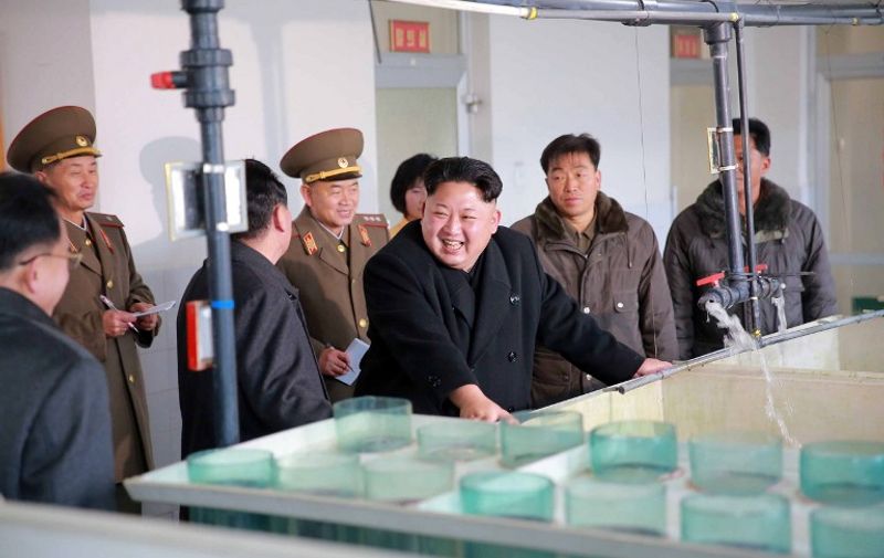 This undated picture released by North Korea's official Korean Central News Agency (KCNA) on December 16, 2015 shows North Korean leader Kim Jong-Un (C) inspecting the Samchon catfish farm at Samchon in South Hwanhae province.  AFP PHOTO / KCNA via KNS    REPUBLIC OF KOREA OUT
THIS PICTURE WAS MADE AVAILABLE BY A THIRD PARTY. AFP CAN NOT INDEPENDENTLY VERIFY THE AUTHENTICITY, LOCATION, DATE AND CONTENT OF THIS IMAGE. THIS PHOTO IS DISTRIBUTED EXACTLY AS RECEIVED BY AFP.
---EDITORS NOTE--- RESTRICTED TO EDITORIAL USE - MANDATORY CREDIT "AFP PHOTO / KCNA VIA KNS" - NO MARKETING NO ADVERTISING CAMPAIGNS - DISTRIBUTED AS A SERVICE TO CLIENTS / AFP / KCNA / KNS