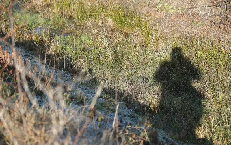 27.12.2018., Kupinec - Mjesto gdje je sedamnaestogodisnjak ubio vrsnjaka. 
Photo: Luka Stanzl/PIXSELL