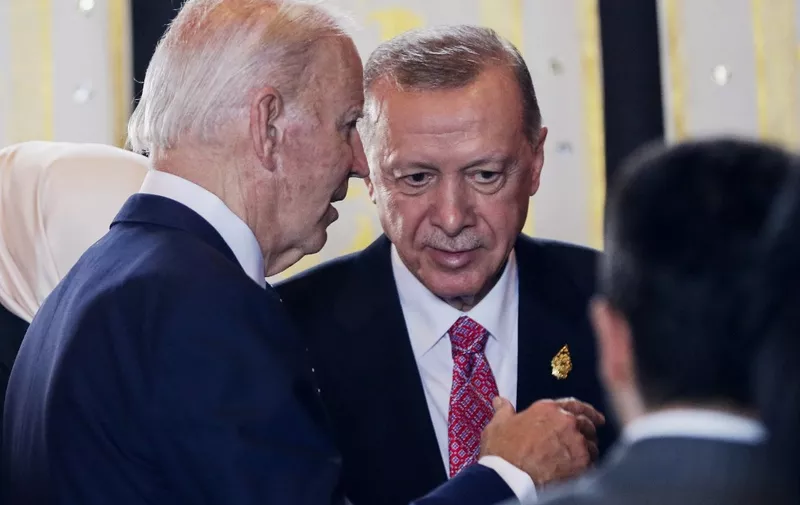 US President Joe Biden (L) speaks with Turkish President Recep Tayyip Erdogan during a meeting as part of the G20 summit in Nusa Dua on the Indonesian resort island of Bali on November 15, 2022. (Photo by Made NAGI / POOL / AFP)