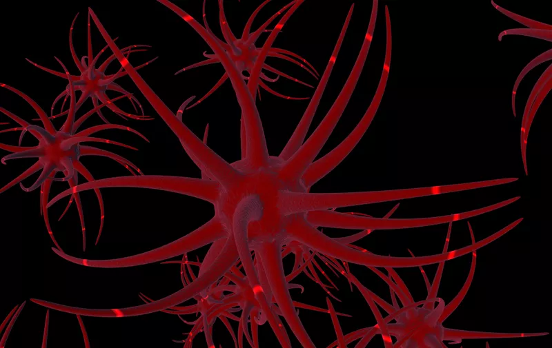 3D neuron cells network structure with glowing impulse on black background. 3D rendering