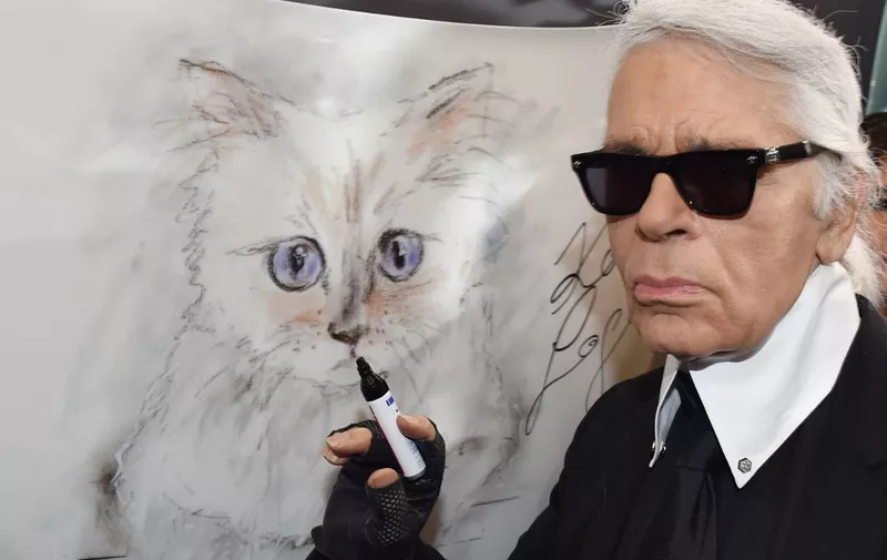 German fashion designer, artist, and photographer Karl Lagerfeld poses next to a painting of his cat "Choupette" during the inauguration of the show "Corsa Karl and Choupette" at the Palazzo Italia in Berlin on February 3, 2015. Lagerfeld presented the Corsa Calendar, consisting of photographs Lagerfeld has taken of his cat Choupette posing in and on the new Corsa model of car maker Opel.         AFP PHOTO / DPA / JENS KALAENE    +++    GERMANY OUT (Photo by DPA / AFP)