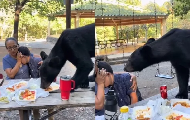 Medvjed jede hranu ispred žene i djeteta