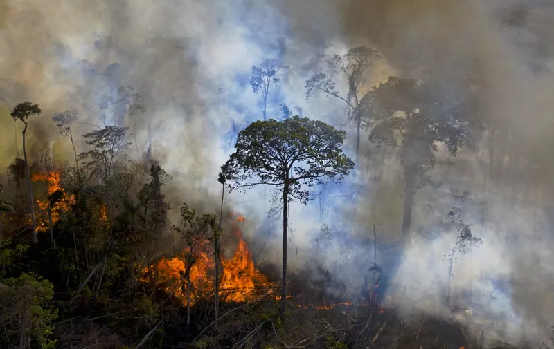 Smoke rises from an illegally lit fire in Amazon rainforest reserve, south of Novo Progresso in Para state, Brazil, on August 15, 2020. (Photo by CARL DE SOUZA / AFP)