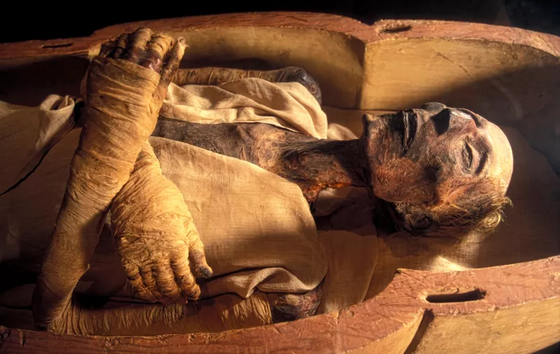 Ramases II mummy. Mummified remains of the Egyptian Pharaoh Rameses II (1301-1235 BC) in a climate-controlled display case. Rameses II was the third pharaoh of the 19th dynasty. He reigned Egypt from 1279-1213 BC and is often regarded as the greatest and most powerful pharaoh of the Egyptian Empire. Photographed in the Royal Mummy Hall of the Museum of Egyptian Antiquities, Cairo, Egypt.,Image: 129115232, License: Rights-managed, Restrictions: , Model Release: no