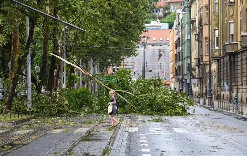 Nevrijeme srušilo stabla na Trgu Franje  Tuđmana. Foto: Josip Regovic/PIXSELL