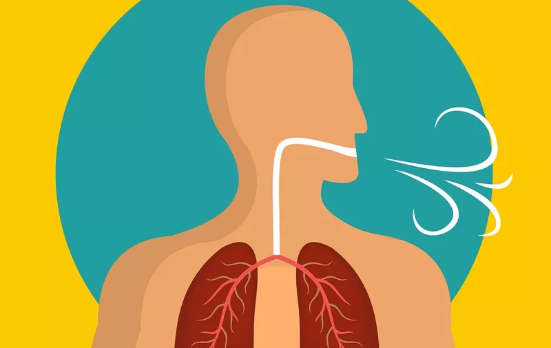 Breathing lungs icon. Flat illustration of breathing lungs vector icon for web design