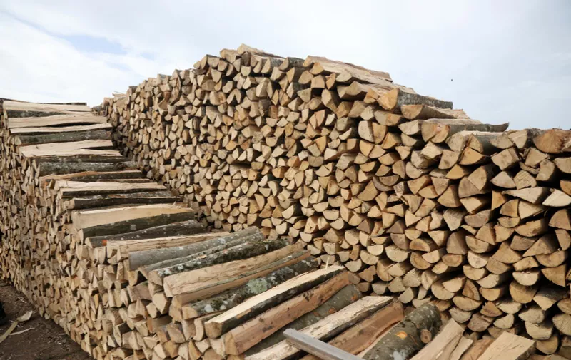 07.11.2022., Sibenik - Zahladjenjem se povecala potraznja za drvima za ogrjev.   Photo: Dusko Jaramaz/PIXSELL