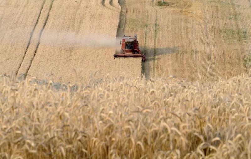 A combine harvester is at work on July 20, 2013 in a wheat field near the village of Trebons-sur-la-Grasse, southwestern France. AFP PHOTO / REMY GABALDA (Photo by REMY GABALDA / AFP)