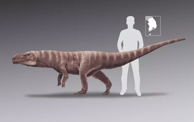 A handout photo made available by the University of Colorado Denver on June 12, 2020 shows an artist's impression of the crocodile's ancestor after fossilized footprints of the crocodile were unearthed by researchers in South Korea. - Ancient crocodiles -- long thought to have walked on all fours like their modern-day cousins -- may have got around on two legs, according to new research published on June 11, 2020. A team of researchers from China, Australia and the US analysed footprints found at the Jinju Formation in modern day South Korea, a rich archaeological dig site that has led to the discovery of ancient species of lizards, spiders and tiny raptors dating back 120 million years. (Photo by Martin LOCKLEY / University of Colorado Denver / AFP) / RESTRICTED TO EDITORIAL USE - MANDATORY CREDIT "AFP PHOTO / University of Colorado Denver / Martin Lockley" - NO MARKETING - NO ADVERTISING CAMPAIGNS - DISTRIBUTED AS A SERVICE TO CLIENTS