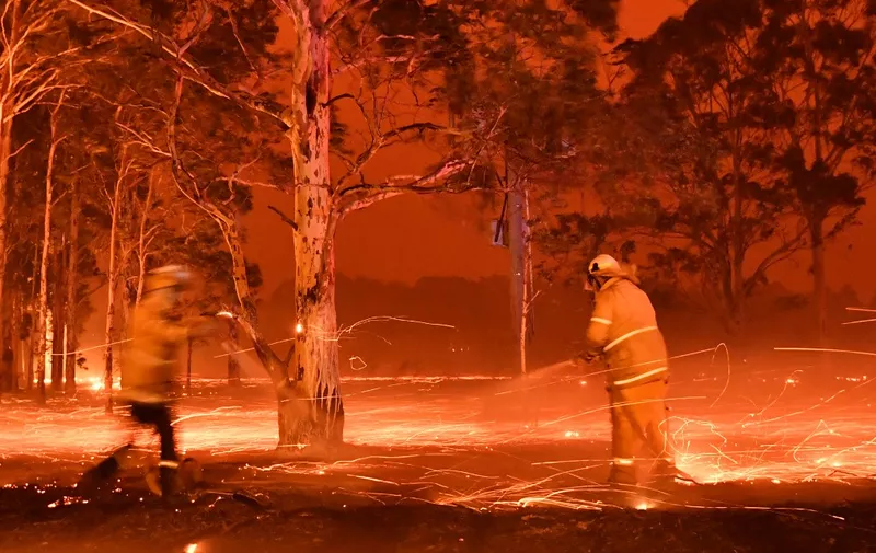 Firefighters hose down trees as they battle against bushfires around the town of Nowra in the Australian state of New South Wales on December 31, 2019. - Thousands of holidaymakers and locals were forced to flee to beaches in fire-ravaged southeast Australia on December 31, as blazes ripped through popular tourist areas leaving no escape by land. (Photo by Saeed KHAN / AFP)
