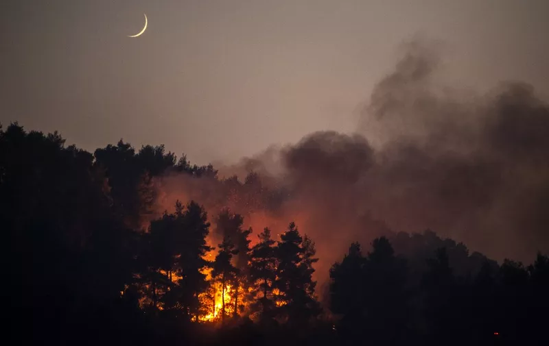 This photograph shows a forest fire in the village of Gouves on Evia (Euboea) island, on August 10, 2021. - Nearly 900 firefighters, reinforced overnight with fresh arrivals from abroad, were deployed on the country's second largest island as major towns and resorts remained under threat from a fire that has been burning for eight days. (Photo by ANGELOS TZORTZINIS / AFP)