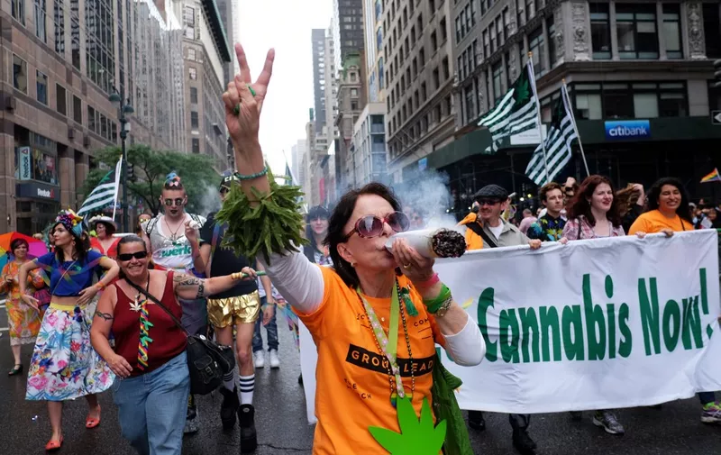 A participant in support of legalizing cannabis gestures during the 2015 New York City Pride march in New York on June 28, 2015. Under a sea of rainbow flags, hundreds of thousands of jubilant supporters poured onto New York's streets for the annual Gay Pride March, two days after the US Supreme Court's landmark ruling to legalize gay marriage. AFP PHOTO/JEWEL SAMAD (Photo by JEWEL SAMAD / AFP)